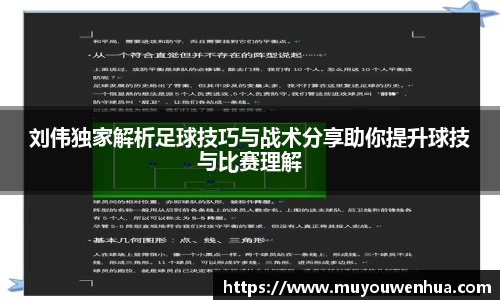 3377体育首页