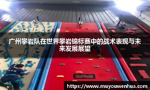 3377体育官网