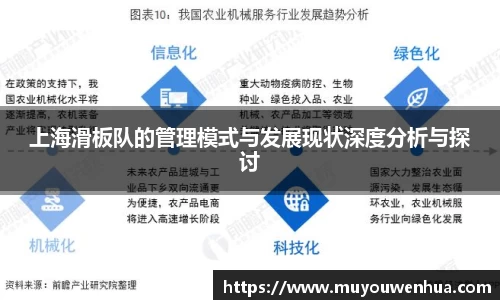 上海滑板队的管理模式与发展现状深度分析与探讨
