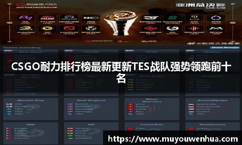 3377体育官网