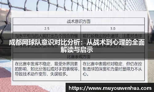 3377体育官网