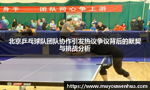3377体育官网