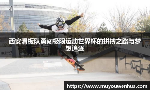 3377体育官网