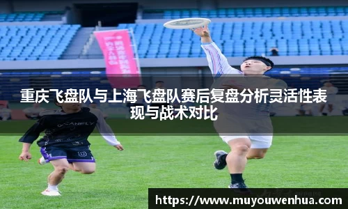 3377体育官网