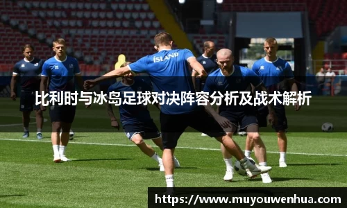 比利时与冰岛足球对决阵容分析及战术解析