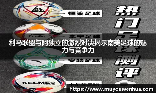 3377体育官网