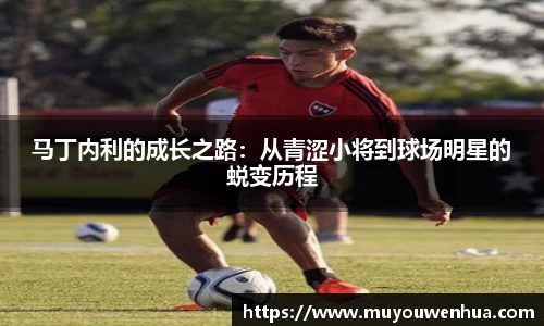 3377体育官网
