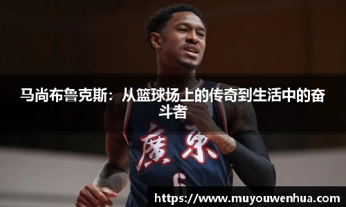 3377体育官网