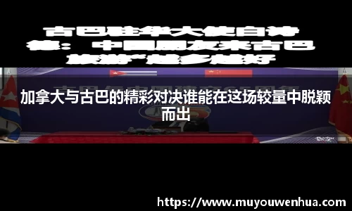 3377体育APP