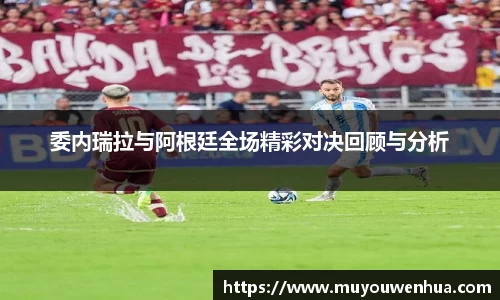 3377体育