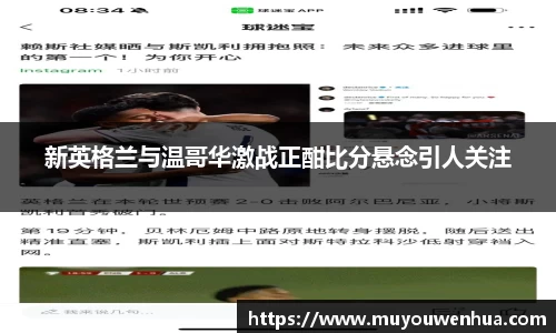 3377体育官网