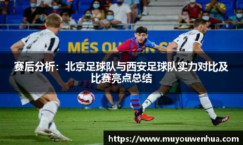 3377体育官网