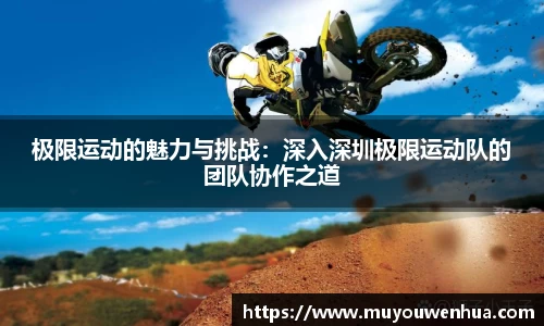 3377体育首页