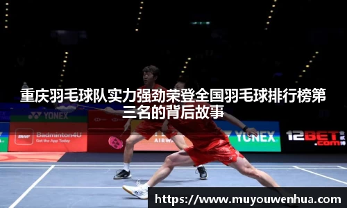 3377体育官网