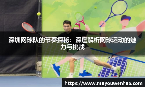 深圳网球队的节奏探秘：深度解析网球运动的魅力与挑战