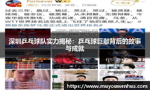 深圳乒乓球队实力揭秘：乒乓球巨献背后的故事与成就