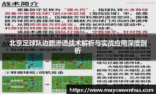 3377体育官网