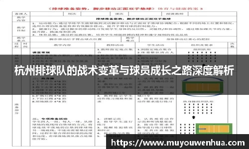 3377体育官网