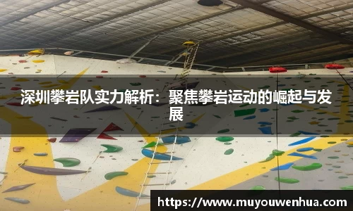 3377体育官网
