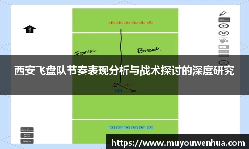 3377体育官网