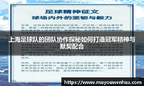 3377体育官网